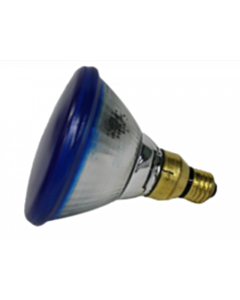 30263 Light Bulb 