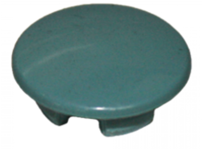 37496 Air Valve Cap Seafoam Green