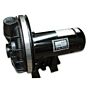 31239 Sta Rite Motor 