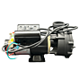 Hot Spring Spas 71894 Jet Pump - 1 Hp & 2 Spd