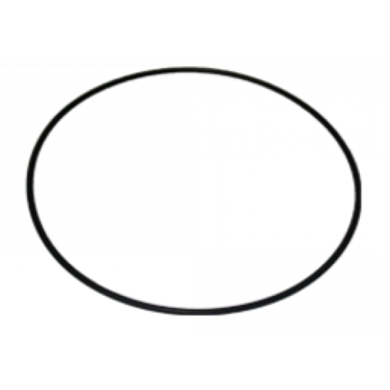 30240 Volute O-Ring for Wavemaster 
