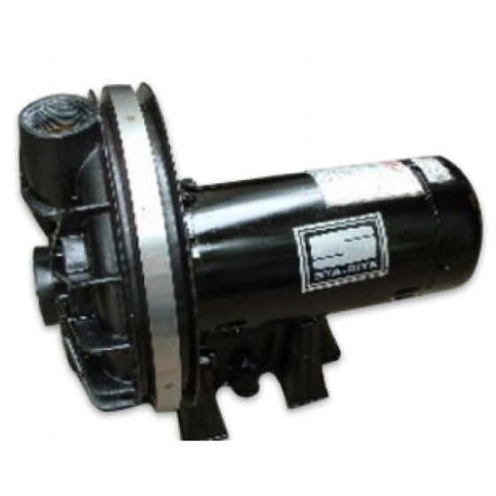 31239 Sta Rite Motor 