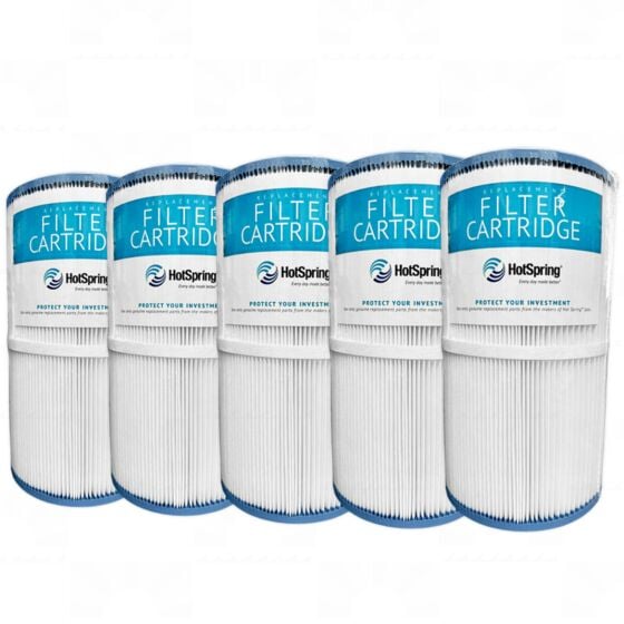 Hot Spring Spas 71825 Replacement Hot Spring Filter 5 Pack