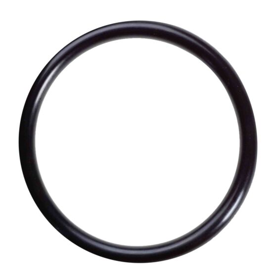 34876 O-Ring 