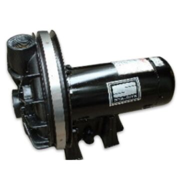 31239 Sta Rite Motor 