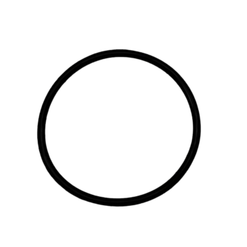 34447 Oring 2"