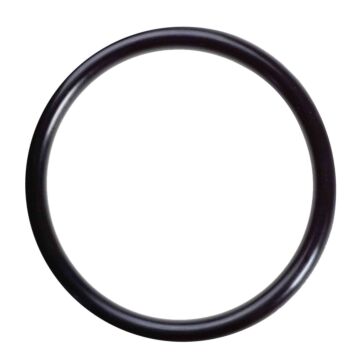 34876 O-Ring 
